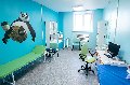 увеличить Медекс в Смоленске